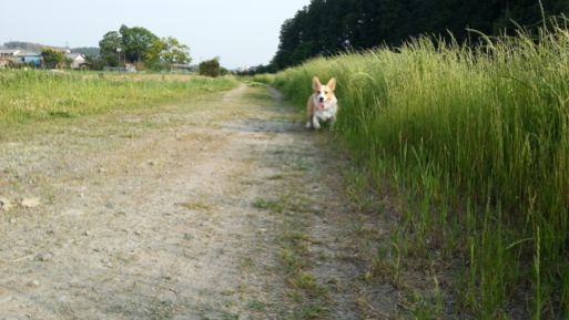 20130516_164855.jpg