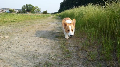 20130516_164858.jpg