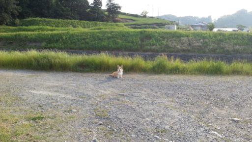 20130516_164945.jpg