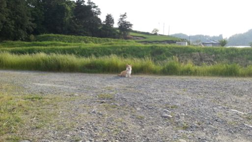 20130516_165004.jpg