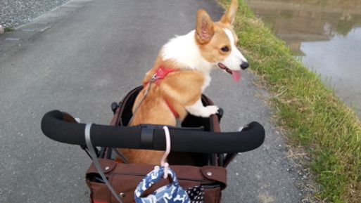 20130517_180319.jpg