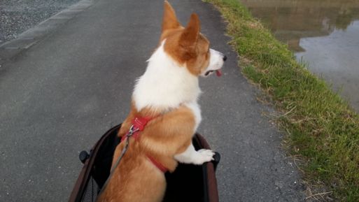 20130517_180322.jpg