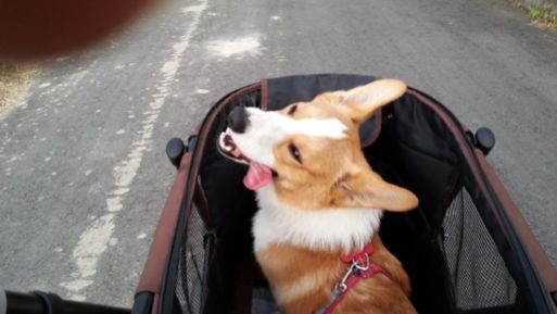 20130517_180432.jpg
