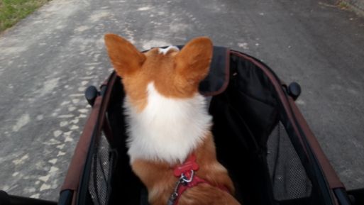 20130517_180439.jpg