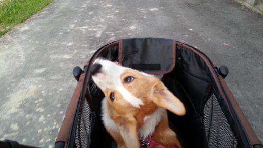 20130517_180441.jpg