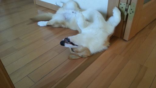 20130523_135506.jpg