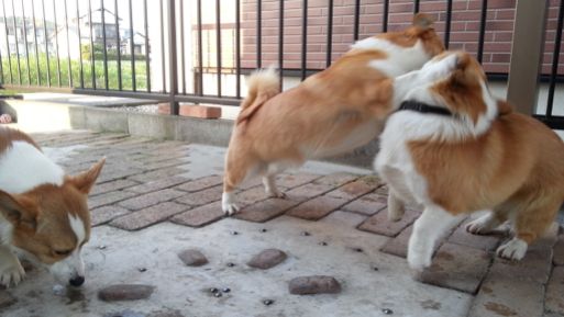 20130523_174705.jpg