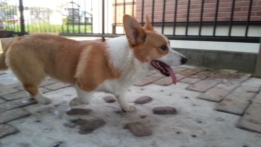 20130523_174748.jpg