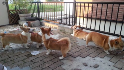 20130523_180951.jpg