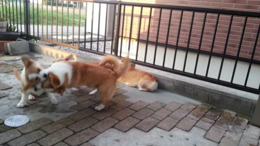 20130523_181017.jpg
