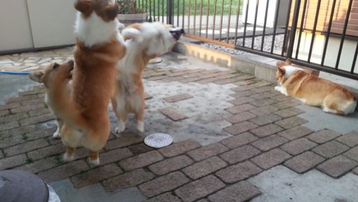 20130523_181021.jpg
