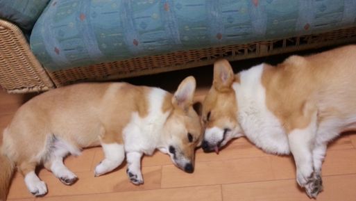 20130524_193055.jpg