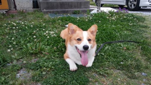 20130527_173938.jpg