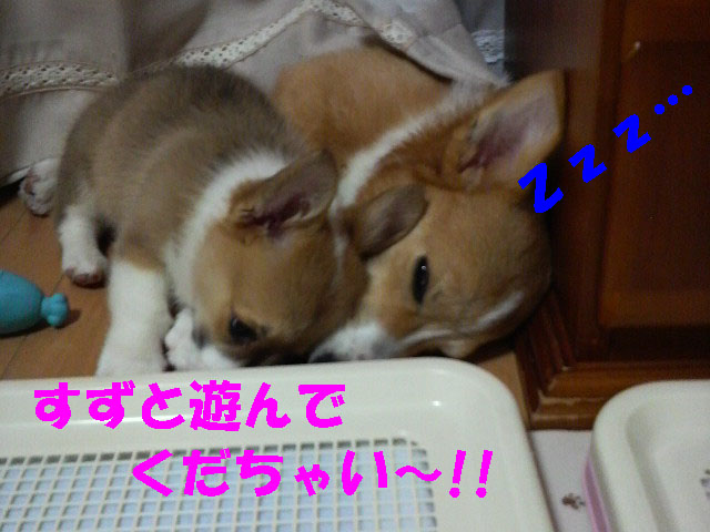 久しぶりのエコパ2