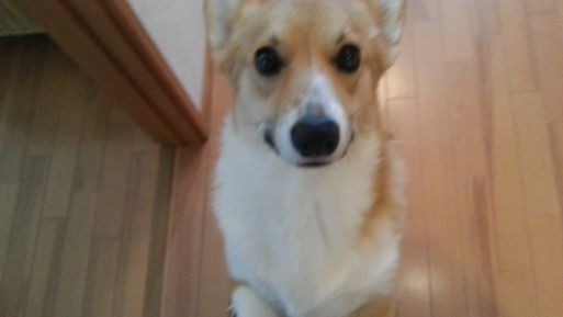 20130529_150810.jpg