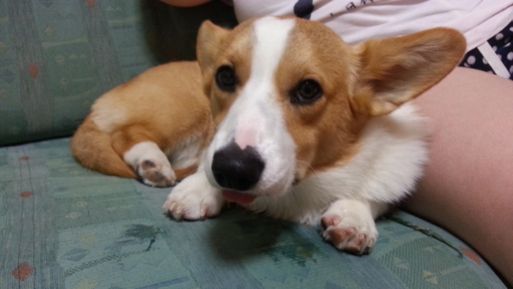20130529_225321.jpg