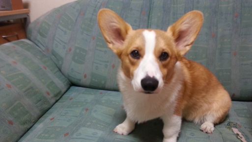 20130529_225340.jpg
