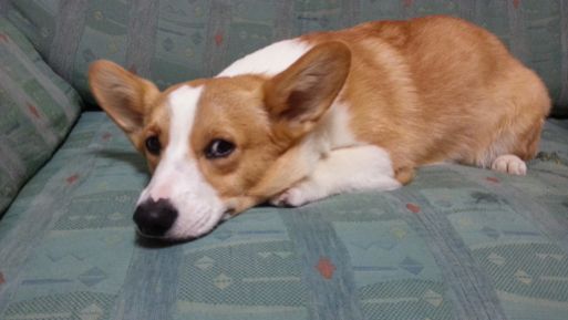 20130529_225421.jpg