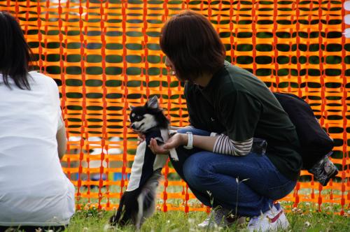 DSC00350_convert_20120627225800.jpg