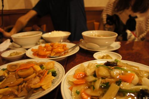 DSC08579_convert_20120904231731.jpg