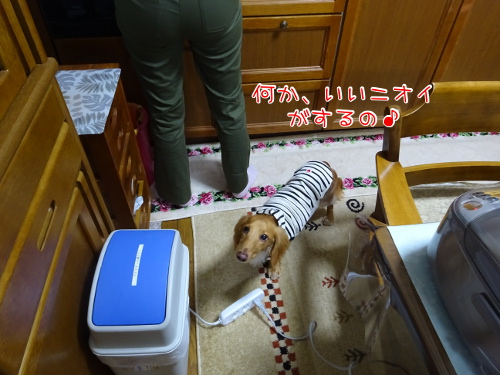 032_20141028195557bbd.jpg