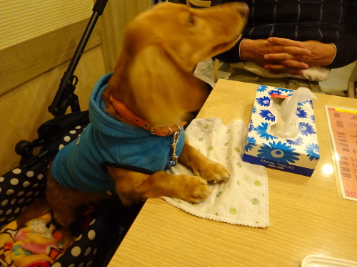 039_20141118202040113.jpg