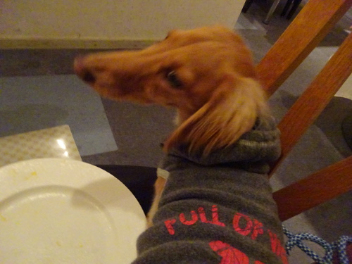 117_20141204200350f3f.jpg