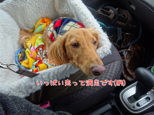 190_20141206115537cae.jpg