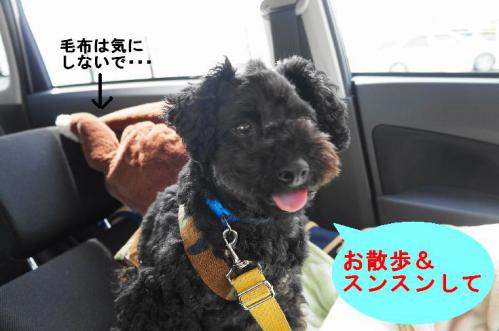 20130320-12