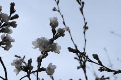 20130320-16