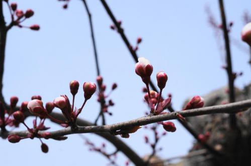 20130320-7