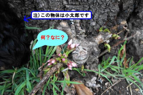 20130323-15