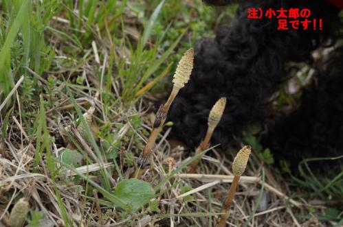 20130323-5