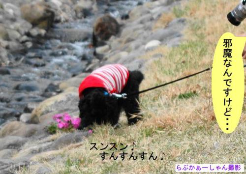 20130323-9