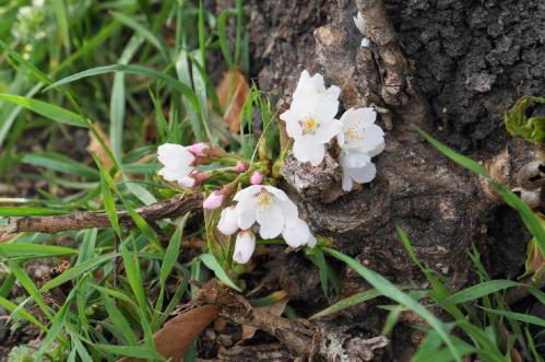 20130326
