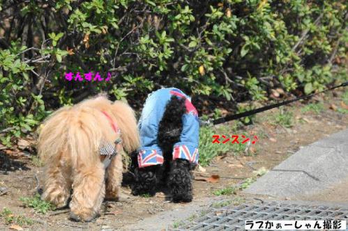 20130324-21