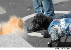 20130324-33