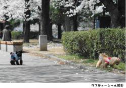 20130324-31