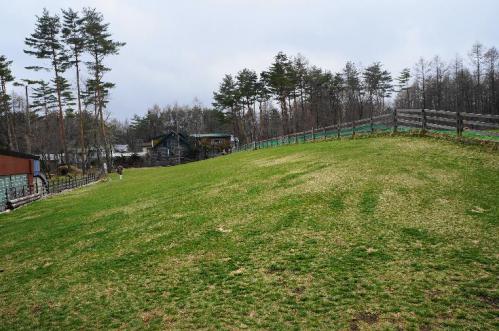 20130331-11