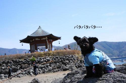 20130414-12