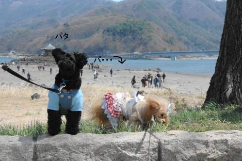 20130414-14ら