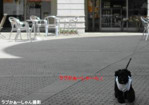 20130418-16ら