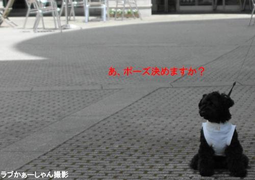 20130418-18ら