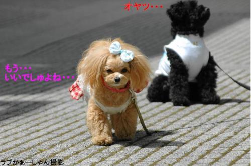 20130418-28ら