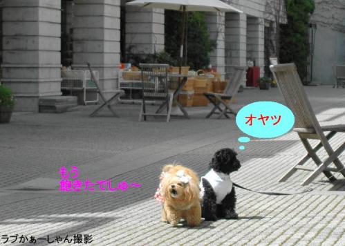 20130418-27ら