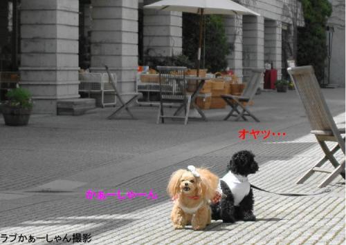 20130418-26ら
