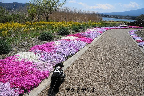 20130427-14