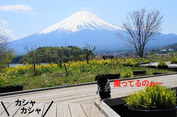 20130427-30