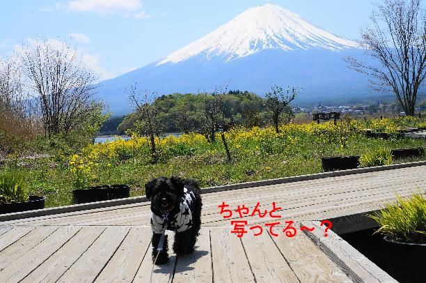 20130427-31
