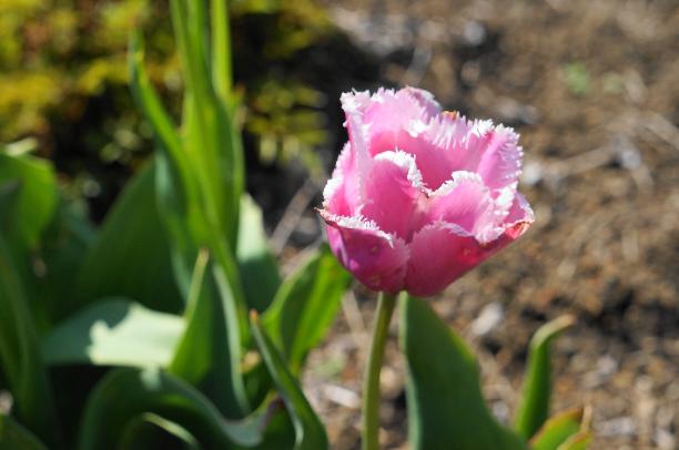 20130427-34